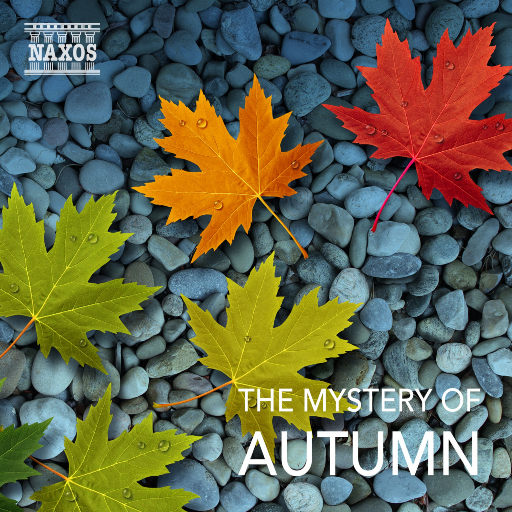 在线视频观看污导航网站
